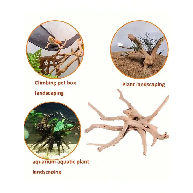Natural Driftwood for Aquarium - Aquarium Plant Roots ulasan dan harga