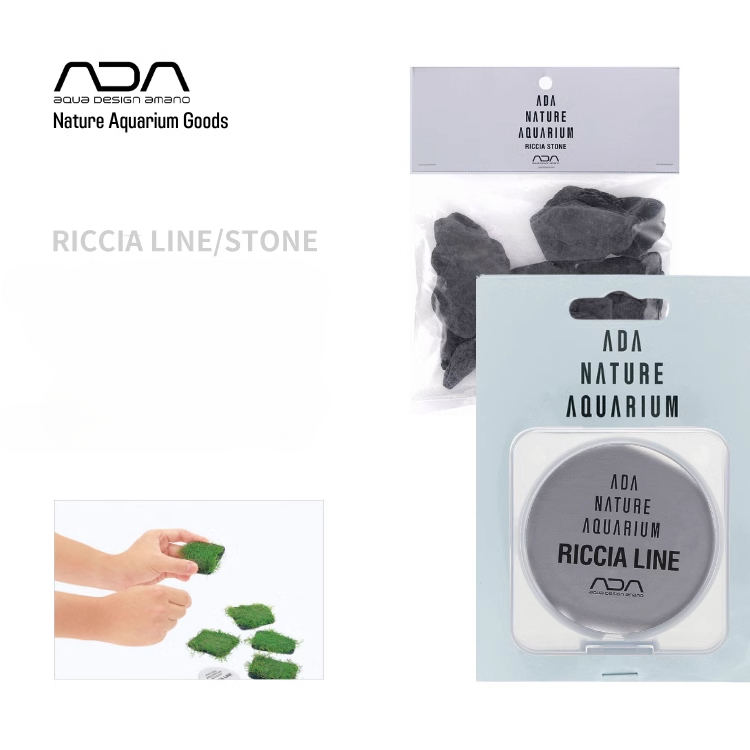 ADA Riccia Line Antler Moss Bi - Planted Aquarium Ada ulasan dan harga