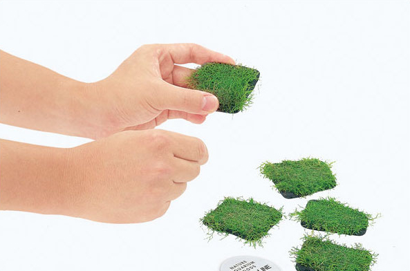 ADA Riccia Line Antler Moss Bi - Planted Aquarium Ada ulasan dan harga
