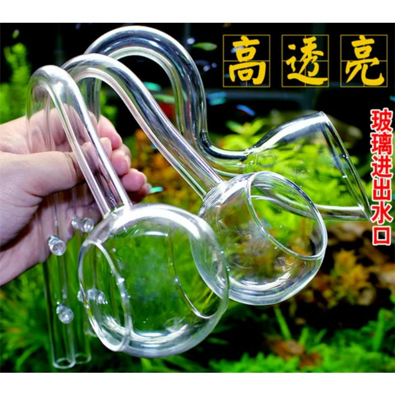 Lily glass pipe ADA quality do - Planted Aquarium Ada ulasan dan harga