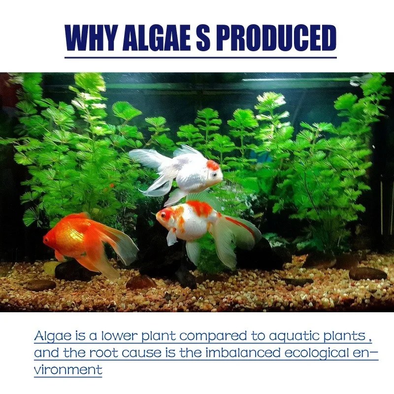 50g High Efficiency Algaecide  - Planted Aquarium Fertilizer ulasan dan harga