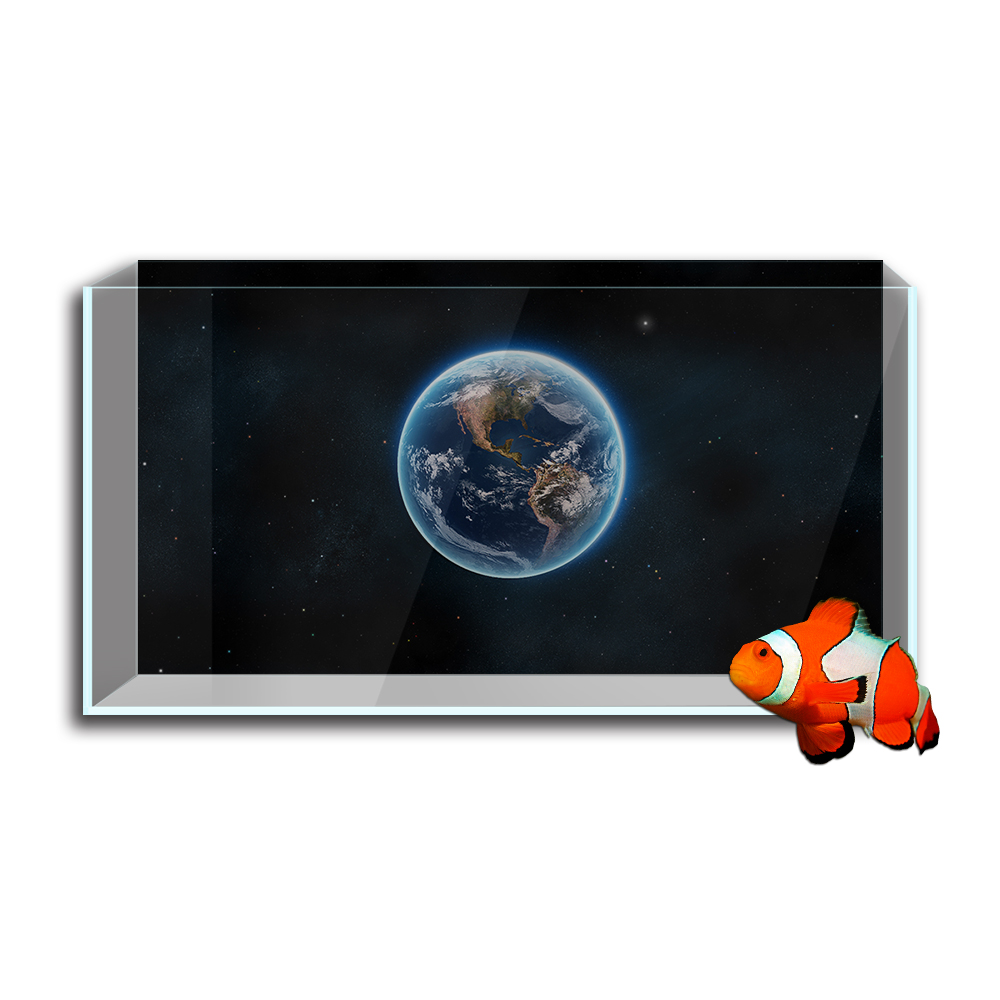 Aquarium Fish Tank  Background - Aquarium Planet ulasan dan harga