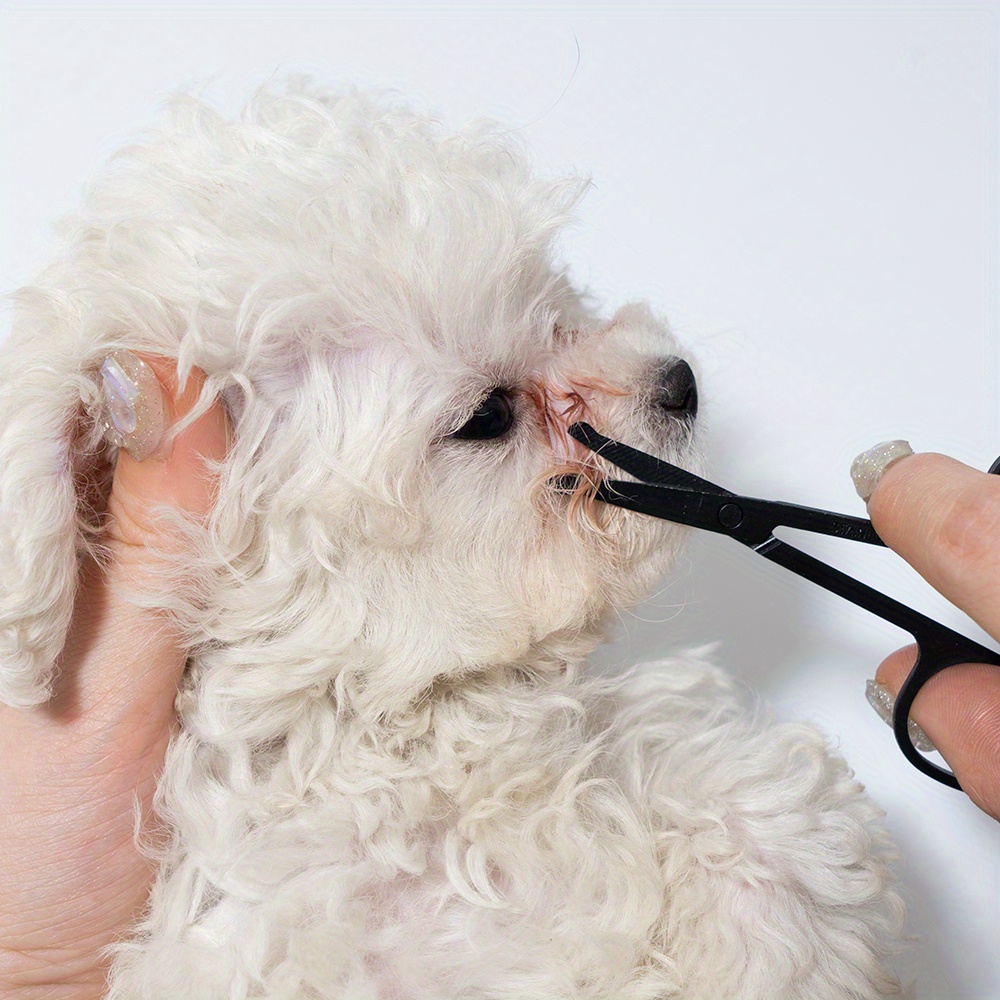 Pet Facial Cleaning Comb Set R - Trimming Scissor Set ulasan dan harga