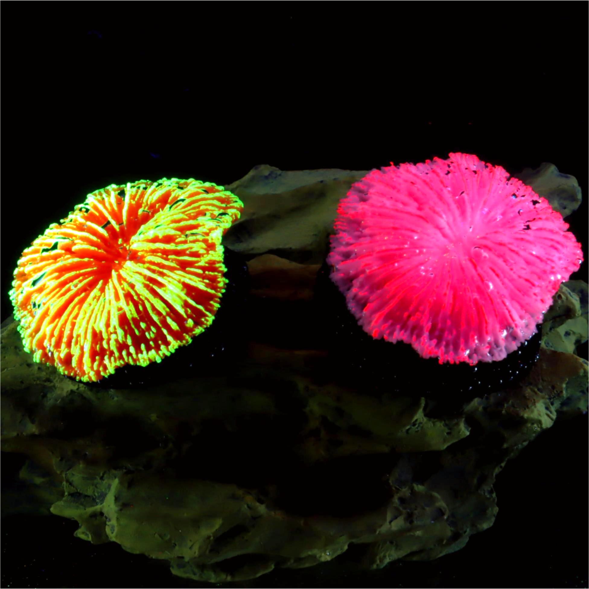 1 piece aquarium decoration sa - Aquarium Planet ulasan dan harga