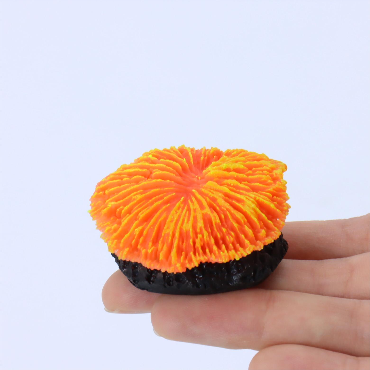 1 piece aquarium decoration sa - Aquarium Planet ulasan dan harga