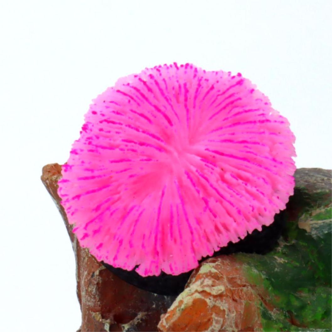 1 piece aquarium decoration sa - Aquarium Planet ulasan dan harga