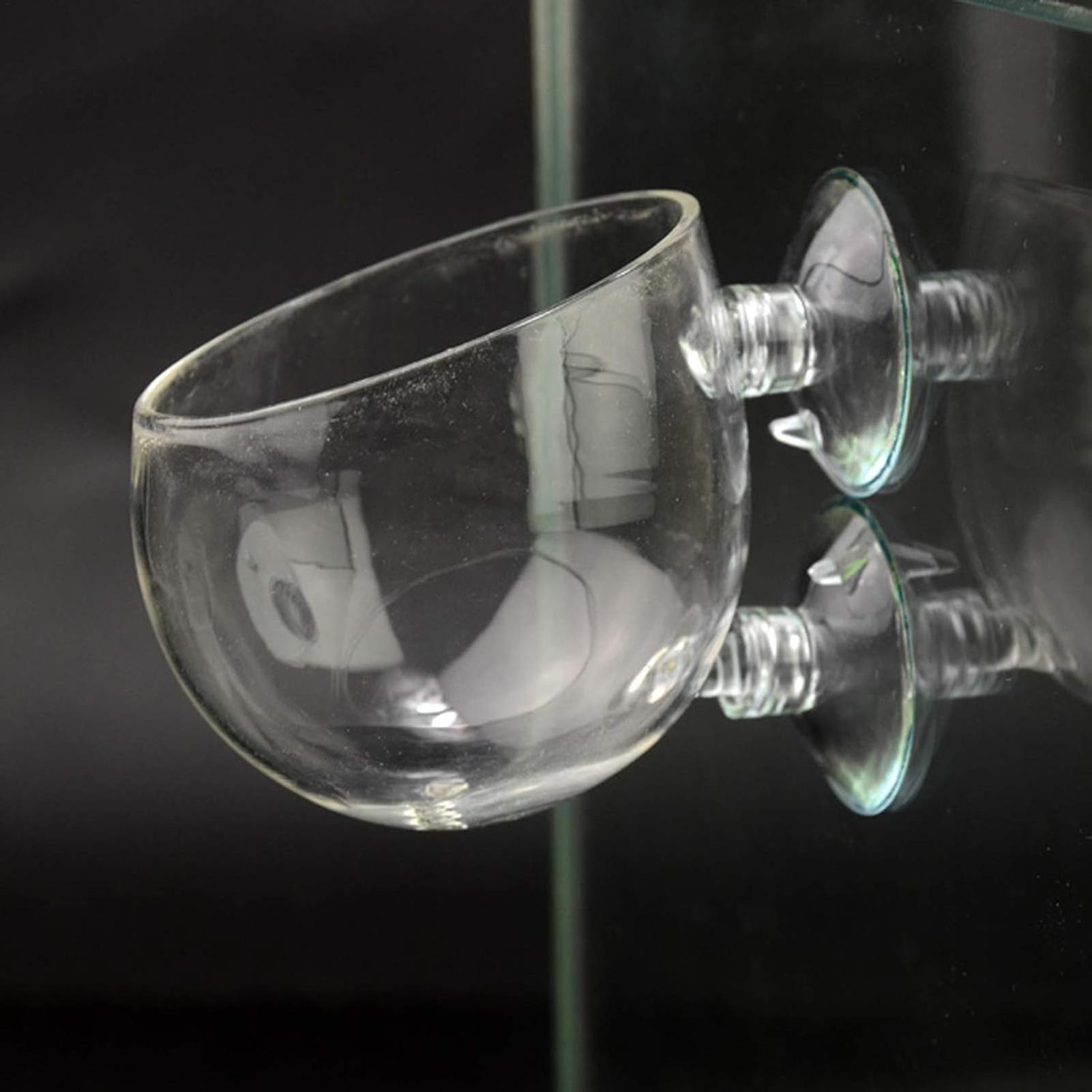 Aquarium Plant Holder Glass Aq - Planted Aquarium Maintenance ulasan dan harga
