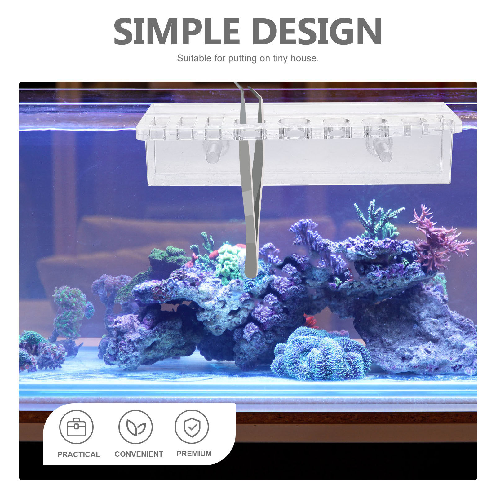 Aquarium Tool Holder Acrylic F - Planted Aquarium Maintenance ulasan dan harga