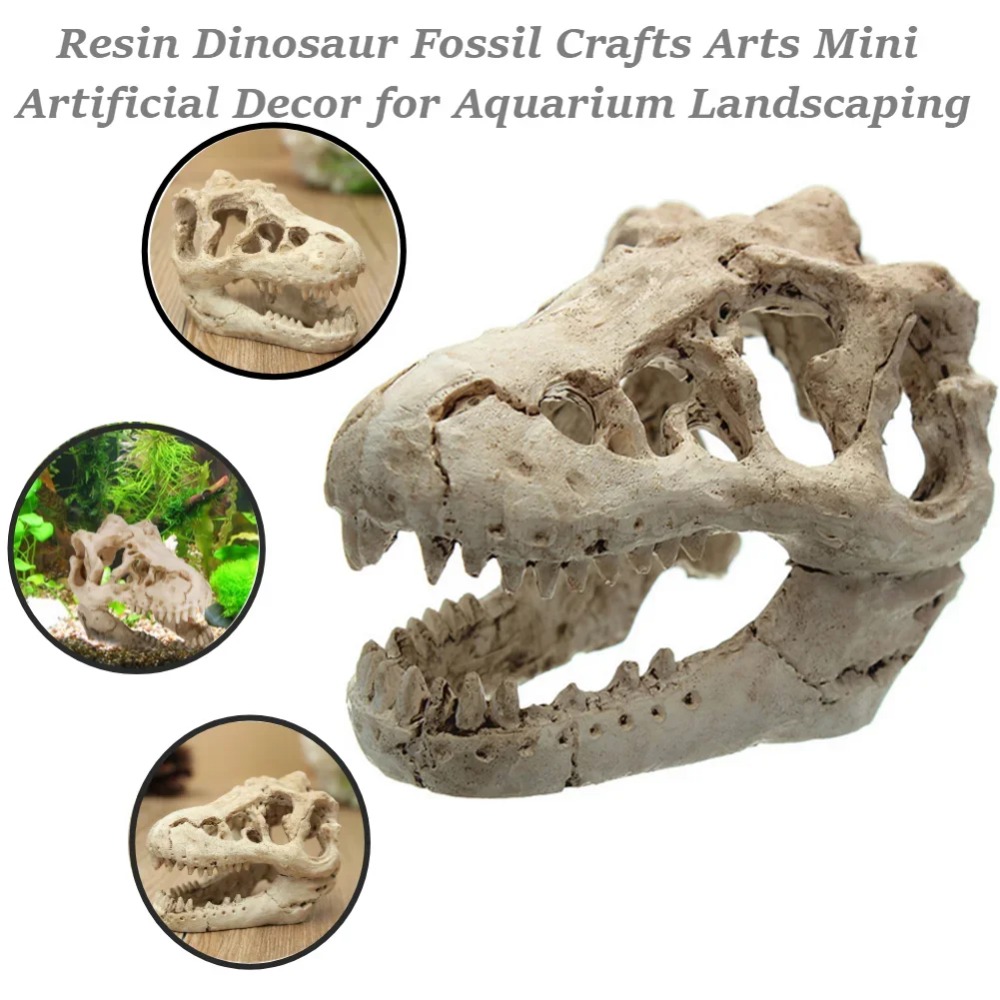 Dinosaur Fossil Model Fish Tan - Aquarium Zombie ulasan dan harga