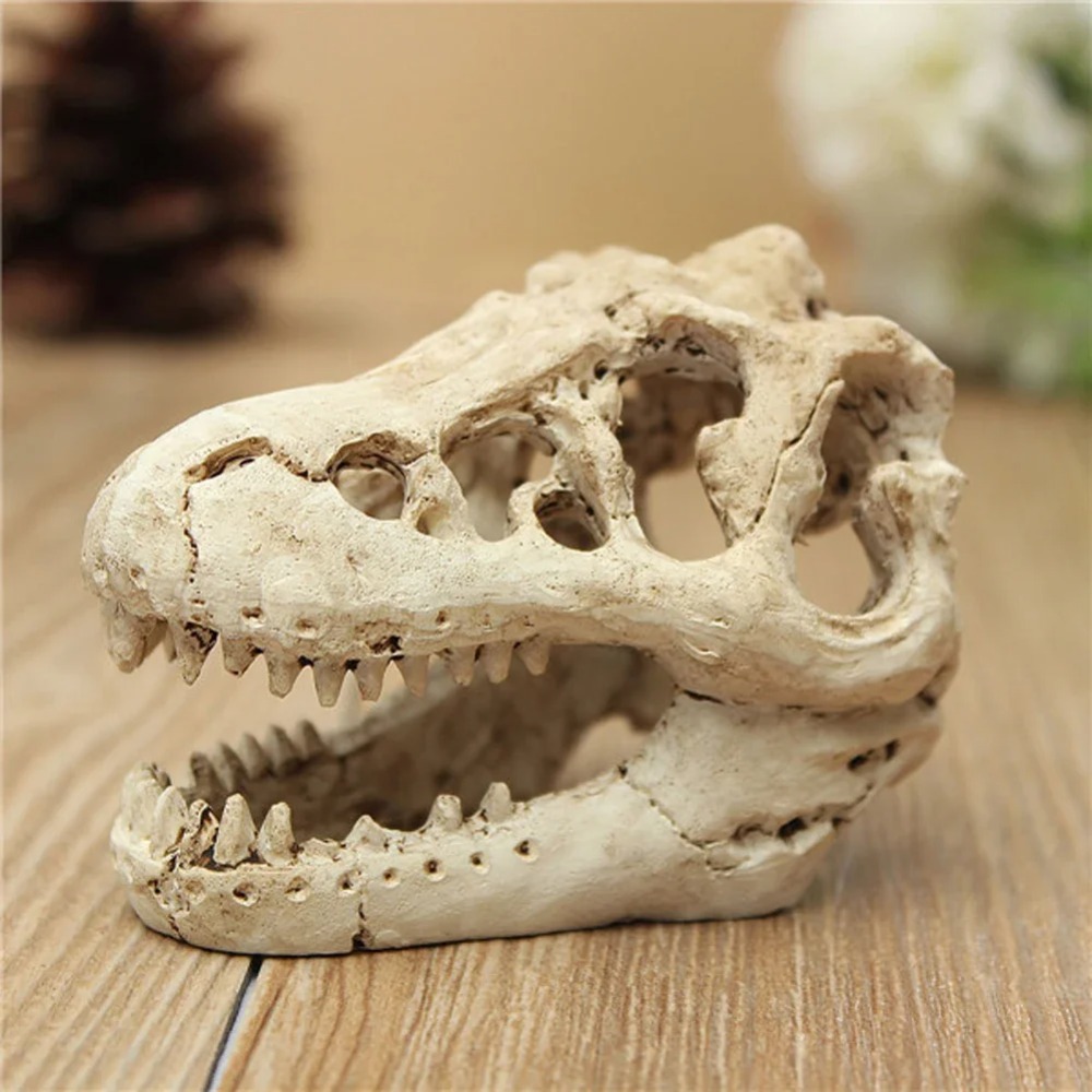Dinosaur Fossil Model Fish Tan - Aquarium Zombie ulasan dan harga