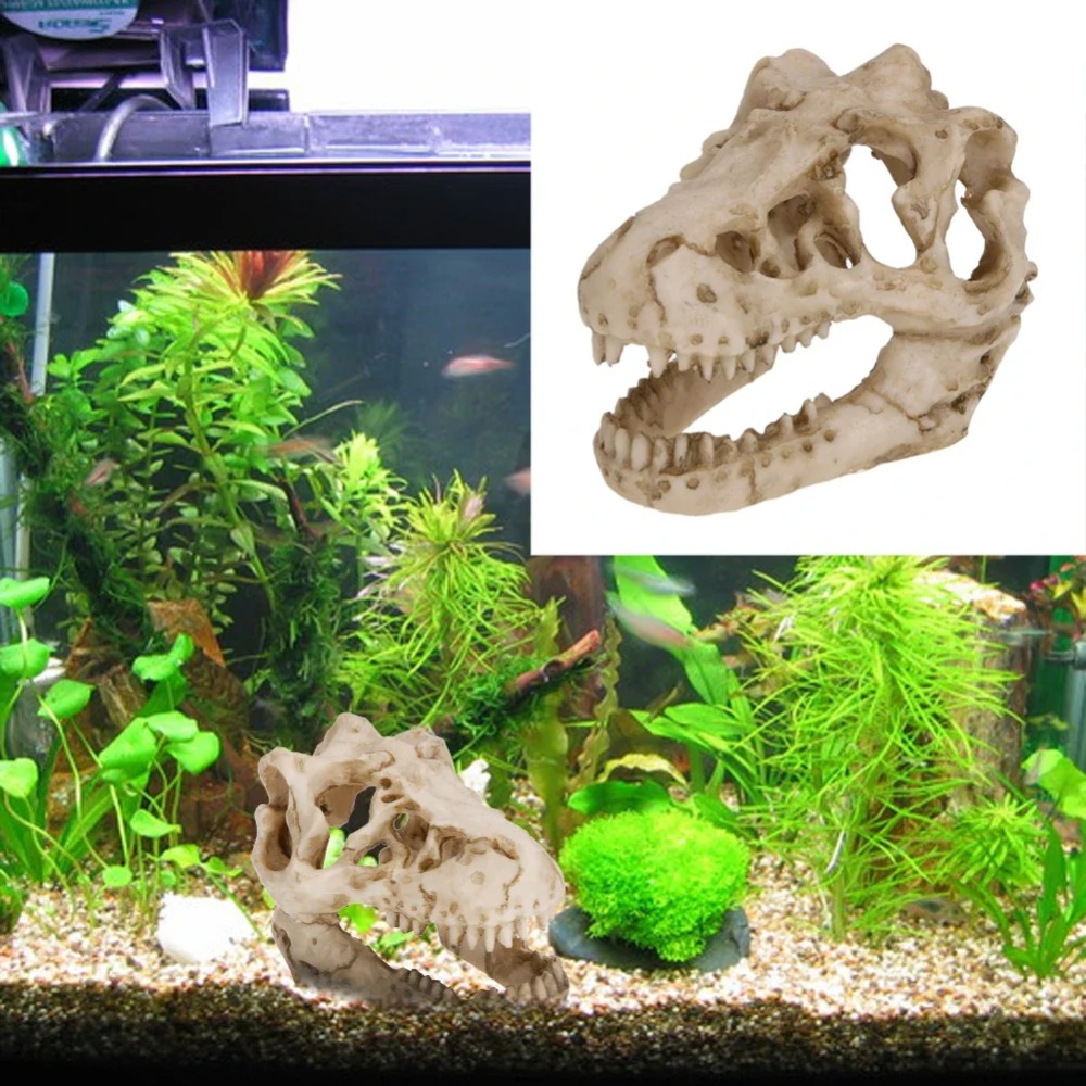 Dinosaur Fossil Model Fish Tan - Aquarium Zombie ulasan dan harga