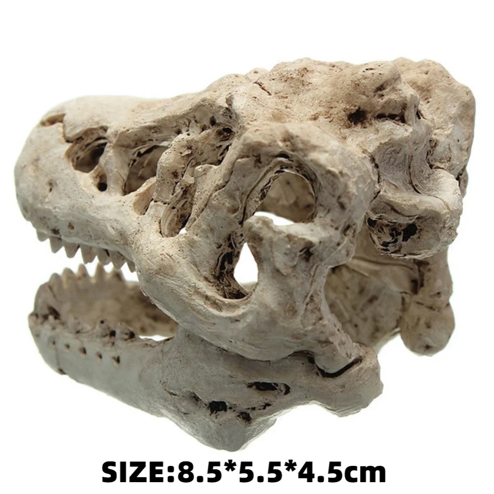 Dinosaur Fossil Model Fish Tan - Aquarium Zombie ulasan dan harga