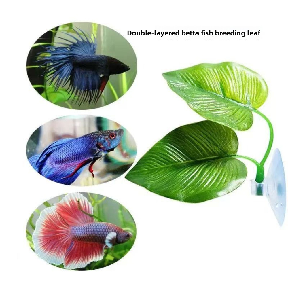 1/3/5/10 Betta Aquarium Artifi - Aquarium Planted Setup ulasan dan harga