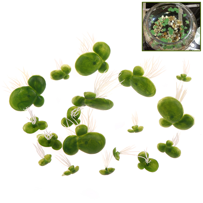 18pcs/set Aquarium Fish Tank D - Aquarium Plant Roots ulasan dan harga