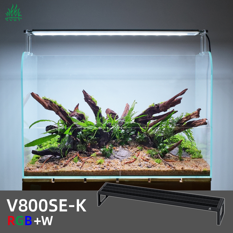 ZXY WEEK ADA Same Type Water S - Planted Aquarium Ada ulasan dan harga
