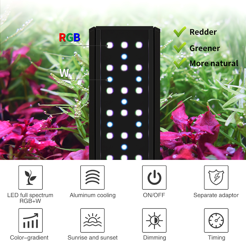 ZXY WEEK ADA Same Type Water S - Planted Aquarium Ada ulasan dan harga