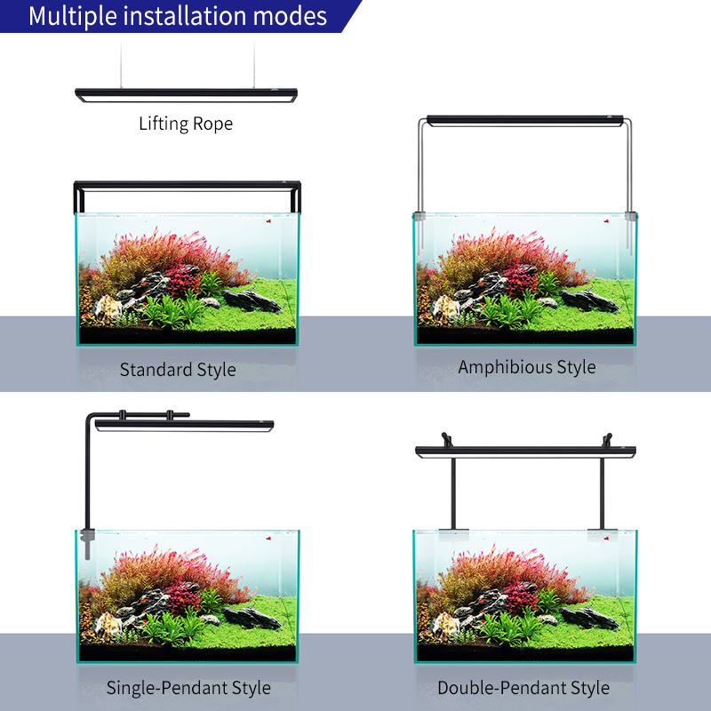 ZXY WEEK ADA Same Type Water S - Planted Aquarium Ada ulasan dan harga