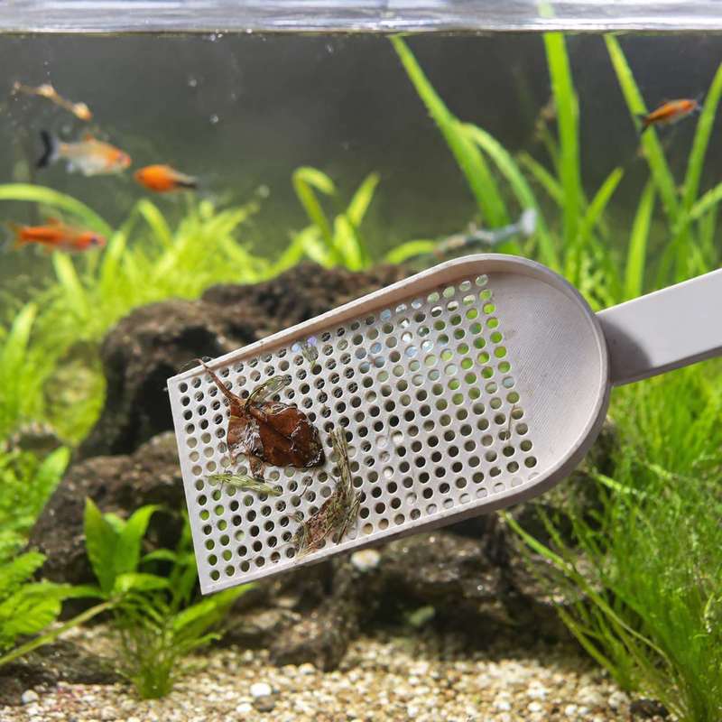 Aquarium Fish Tank Debris Scoo - Planted Aquarium Maintenance ulasan dan harga