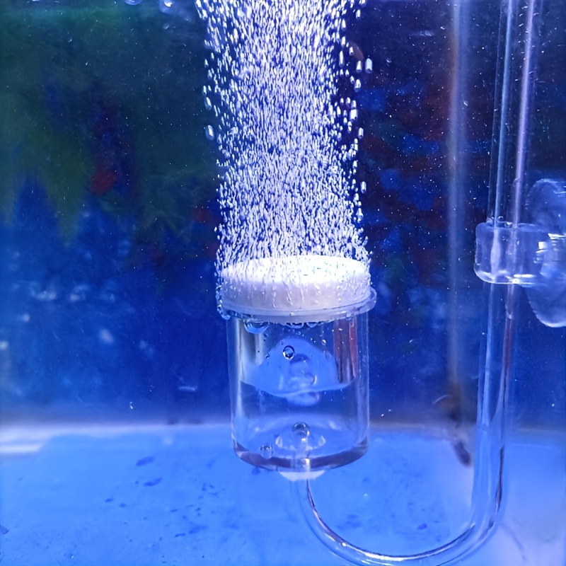 Aquarium Glass CO2 Atomizer Di - Planted Aquarium Co2 ulasan dan harga