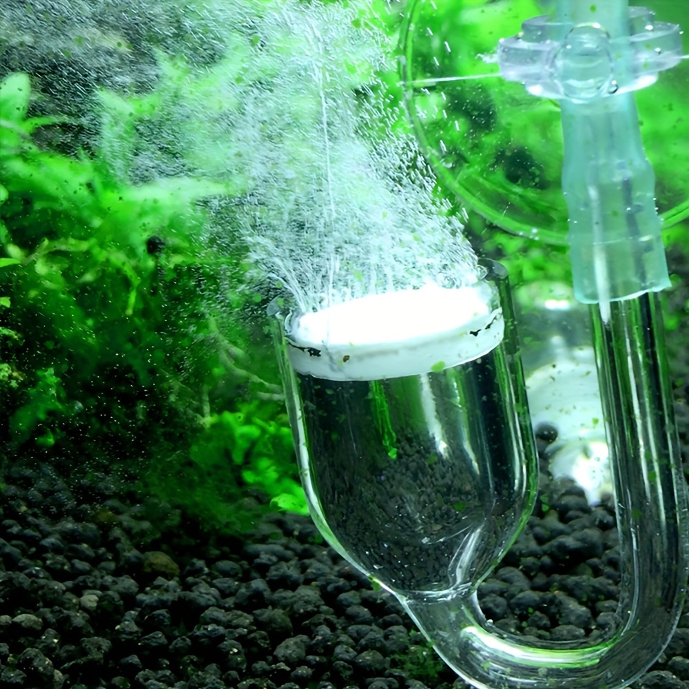 Aquarium Glass CO2 Atomizer Di - Planted Aquarium Co2 ulasan dan harga