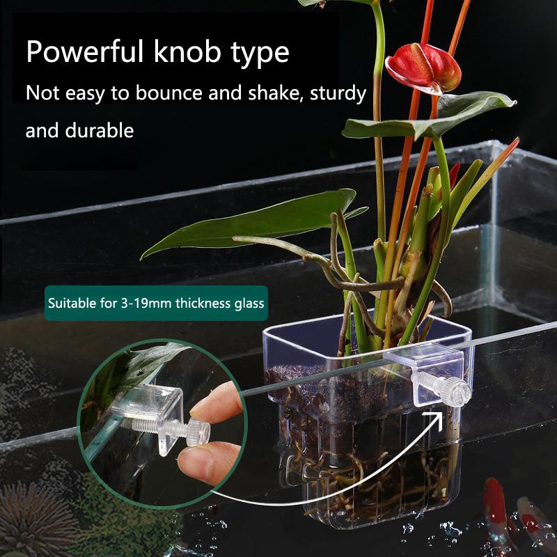 Aquarium Hydroponic Planting C - Aquarium Planted Setup ulasan dan harga