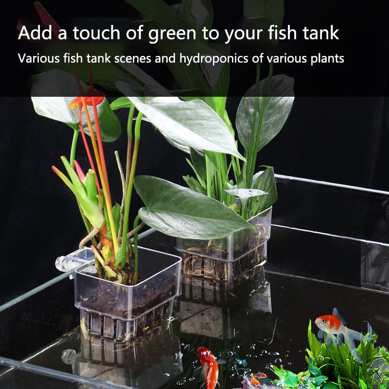 Aquarium Hydroponic Planting C - Aquarium Planted Setup ulasan dan harga