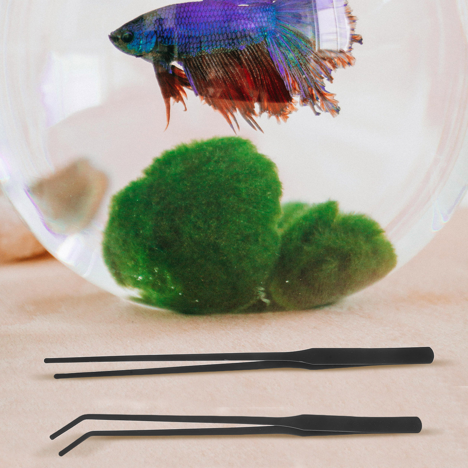 4pcs Aquarium Tweezers Stainle - Planted Aquarium Maintenance ulasan dan harga