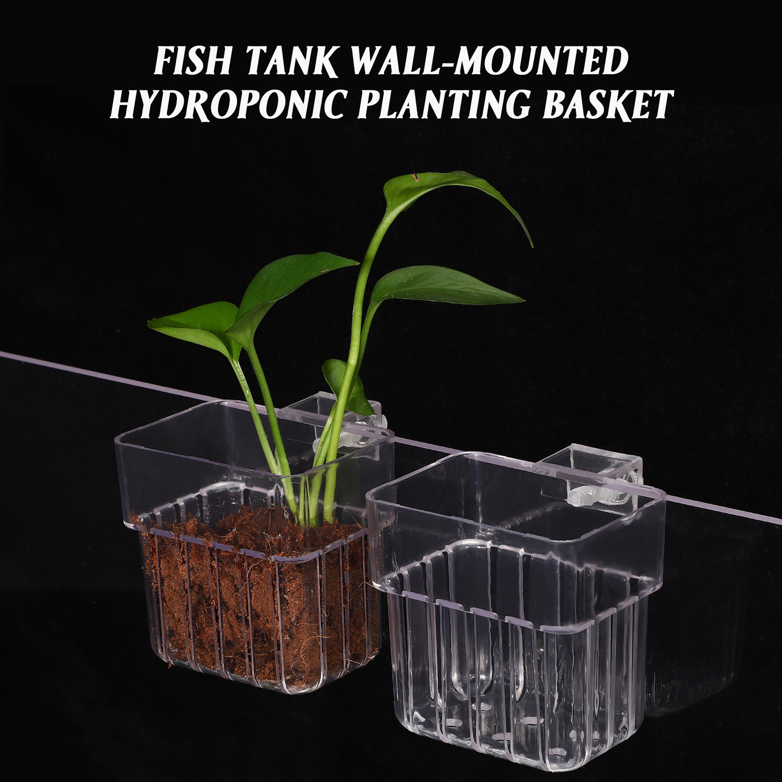4Pcs Aquarium Plant Holders Cl - Aquarium Planted Setup ulasan dan harga