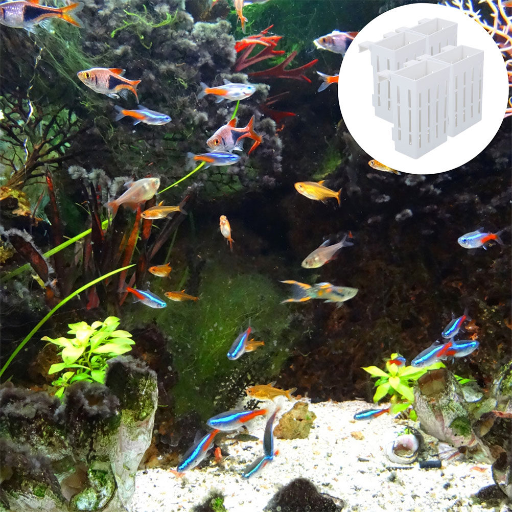 4Pcs Aquarium Plant Basket Pre - Aquarium Plant Roots ulasan dan harga