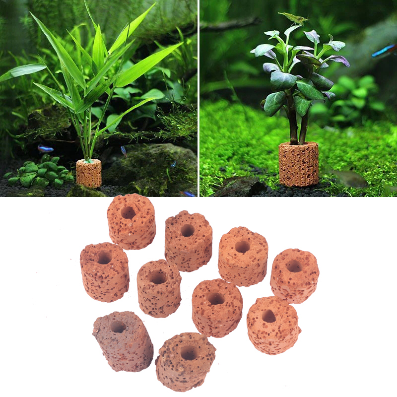 10Pcs Mini Aquatic Plant Ring  - Aquarium Planted Setup ulasan dan harga