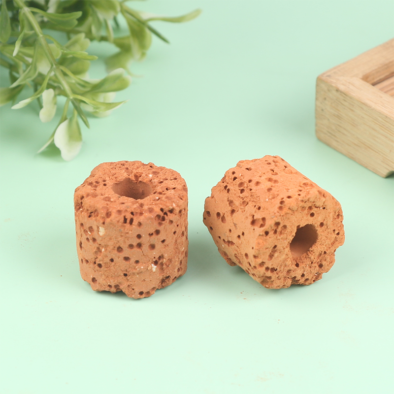 10Pcs Mini Aquatic Plant Ring  - Aquarium Planted Setup ulasan dan harga