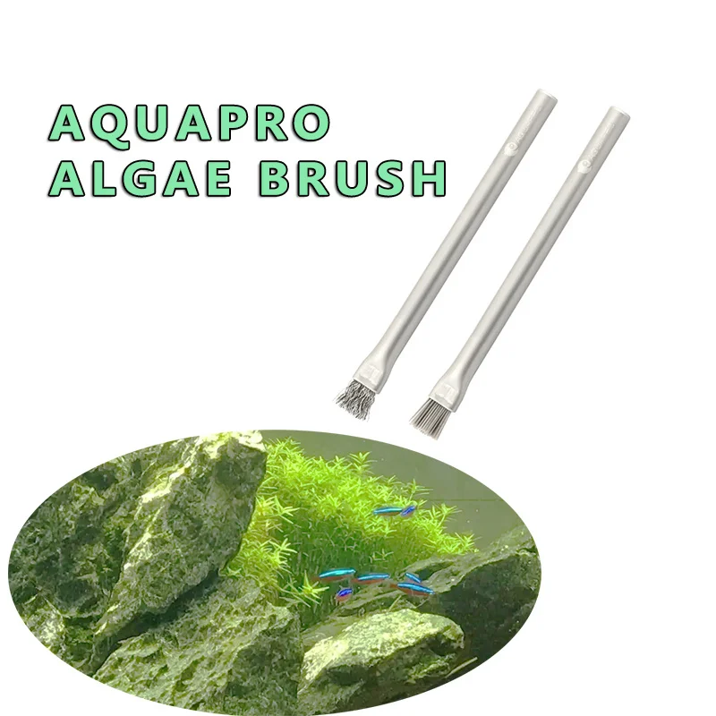 Aquapro Algae Brush Cleaning B - Planted Aquarium Ada ulasan dan harga