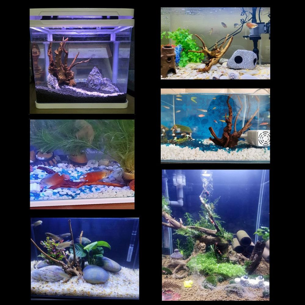 20-25CM Large Aquarium Driftwo - Aquarium Plant Roots ulasan dan harga