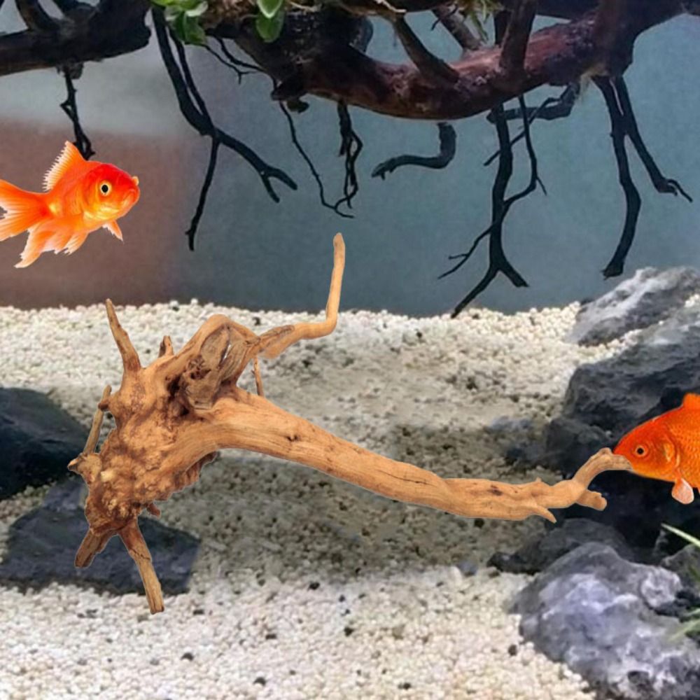 20-25CM Large Aquarium Driftwo - Aquarium Plant Roots ulasan dan harga