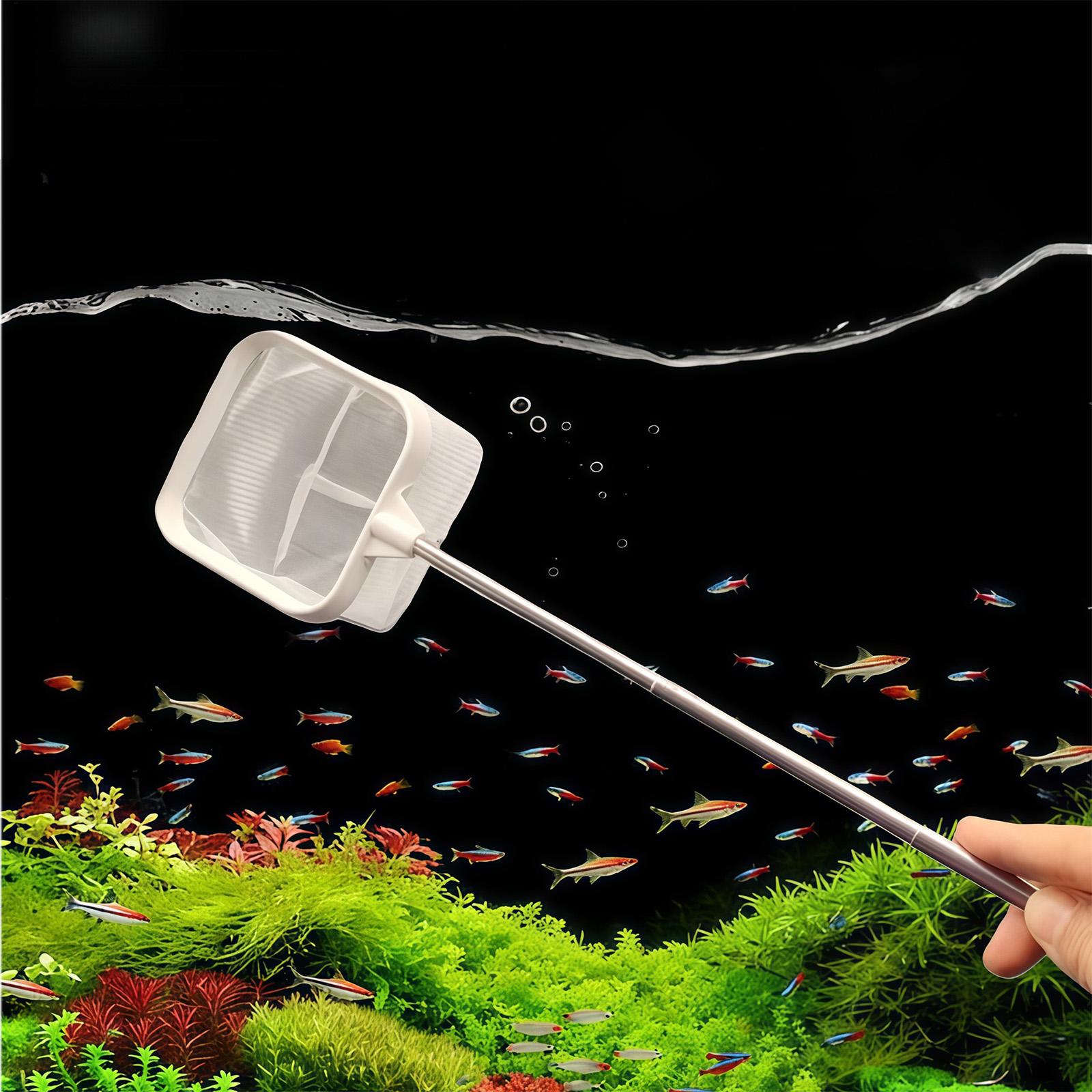 Extendable Long Handle Fine Me - Aquarium Plant Roots ulasan dan harga