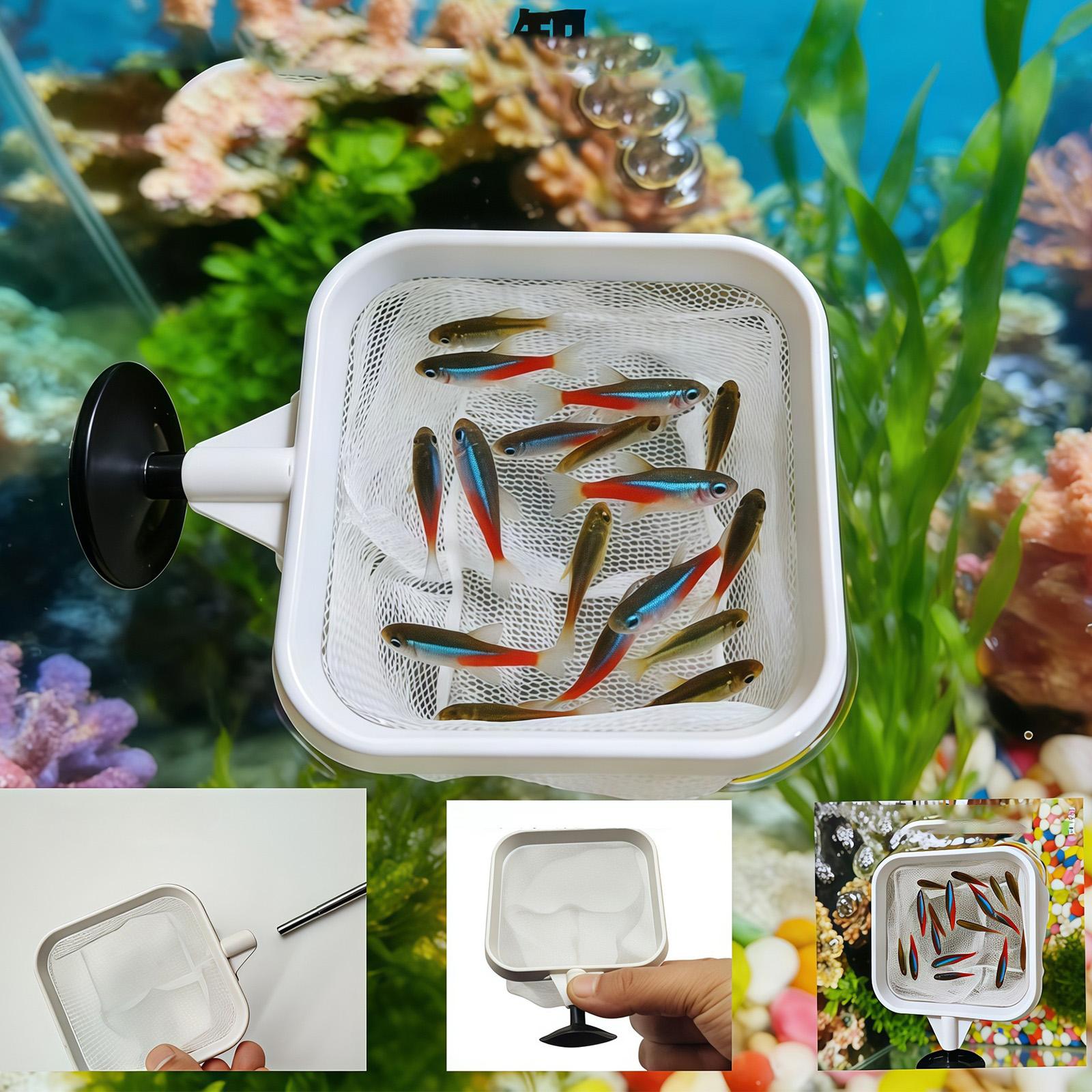 Extendable Long Handle Fine Me - Aquarium Plant Roots ulasan dan harga