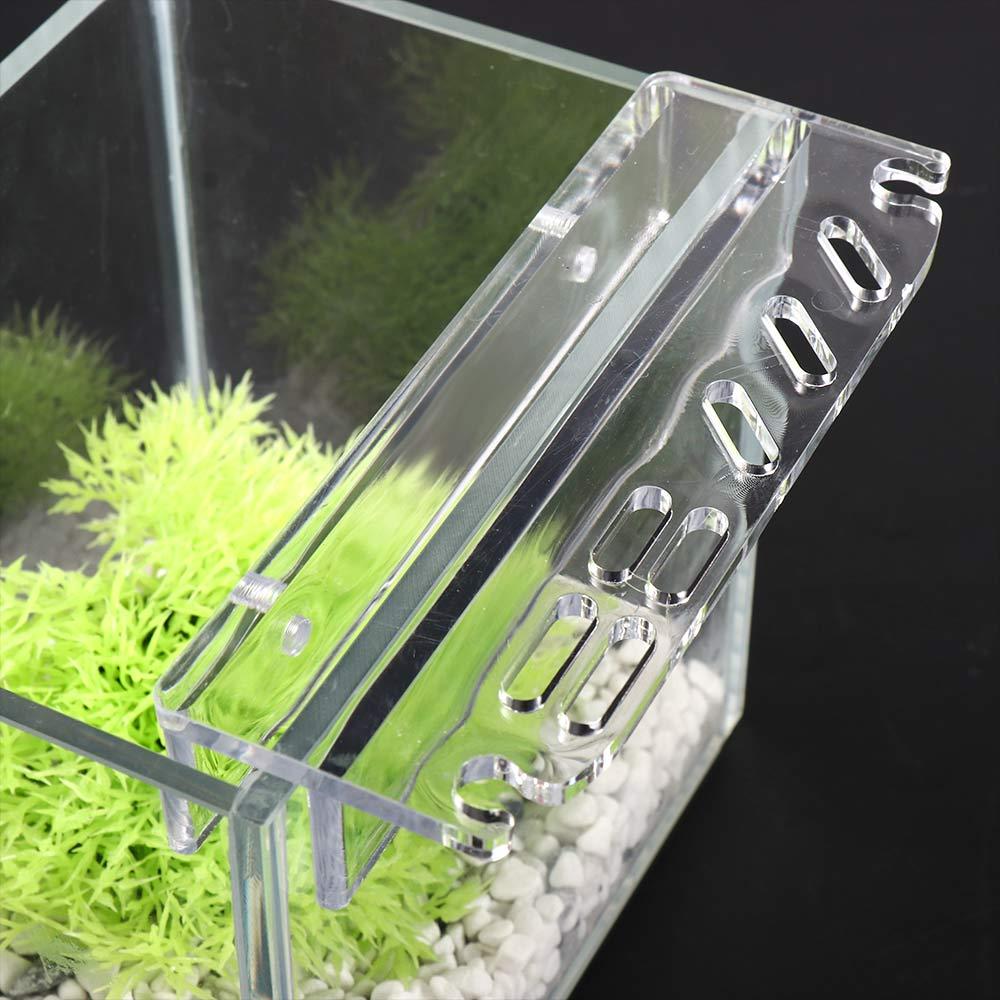 Cleaning Tool Accessories Stor - Planted Aquarium Maintenance ulasan dan harga