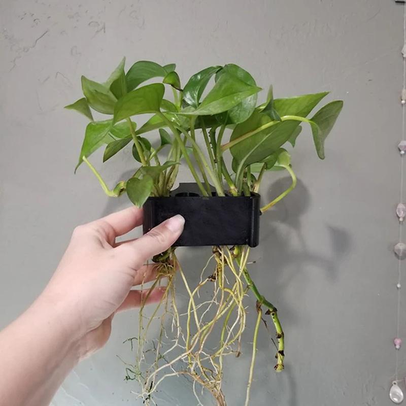 1 2 3Pcs Aquarium Plant Suppor - Aquarium Planted Setup ulasan dan harga