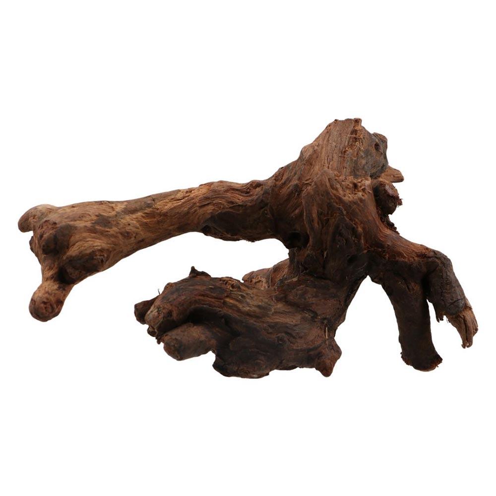 Creative Irregular Shape Coral - Aquarium Plant Roots ulasan dan harga