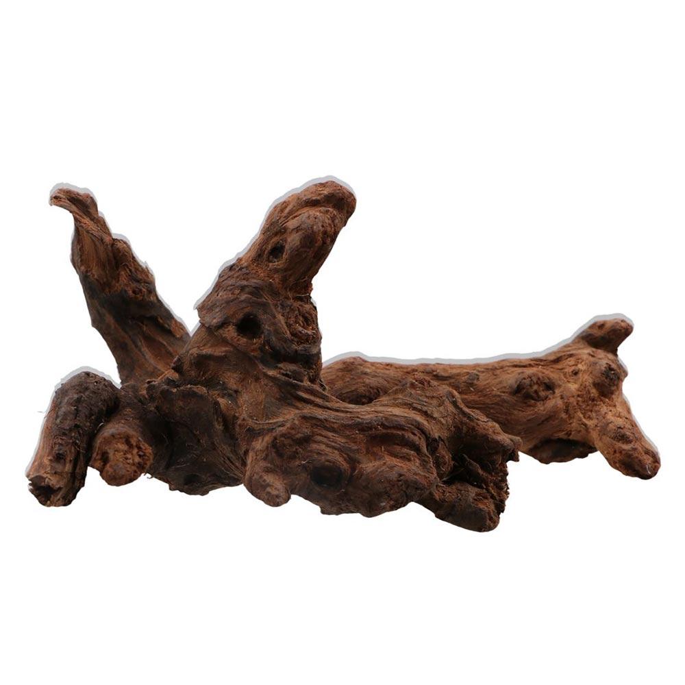 Creative Irregular Shape Coral - Aquarium Plant Roots ulasan dan harga