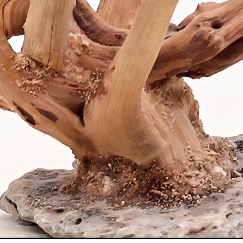 1PC Aquarium Landscaping Wood  - Aquarium Plant Roots ulasan dan harga