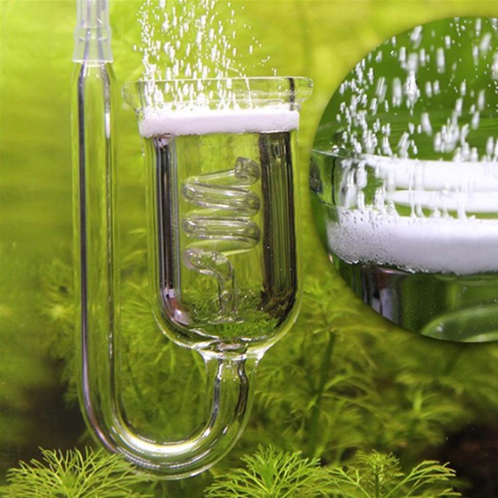 Durable Glass CO2 Diffuser Aqu - Aquarium Planted Setup ulasan dan harga