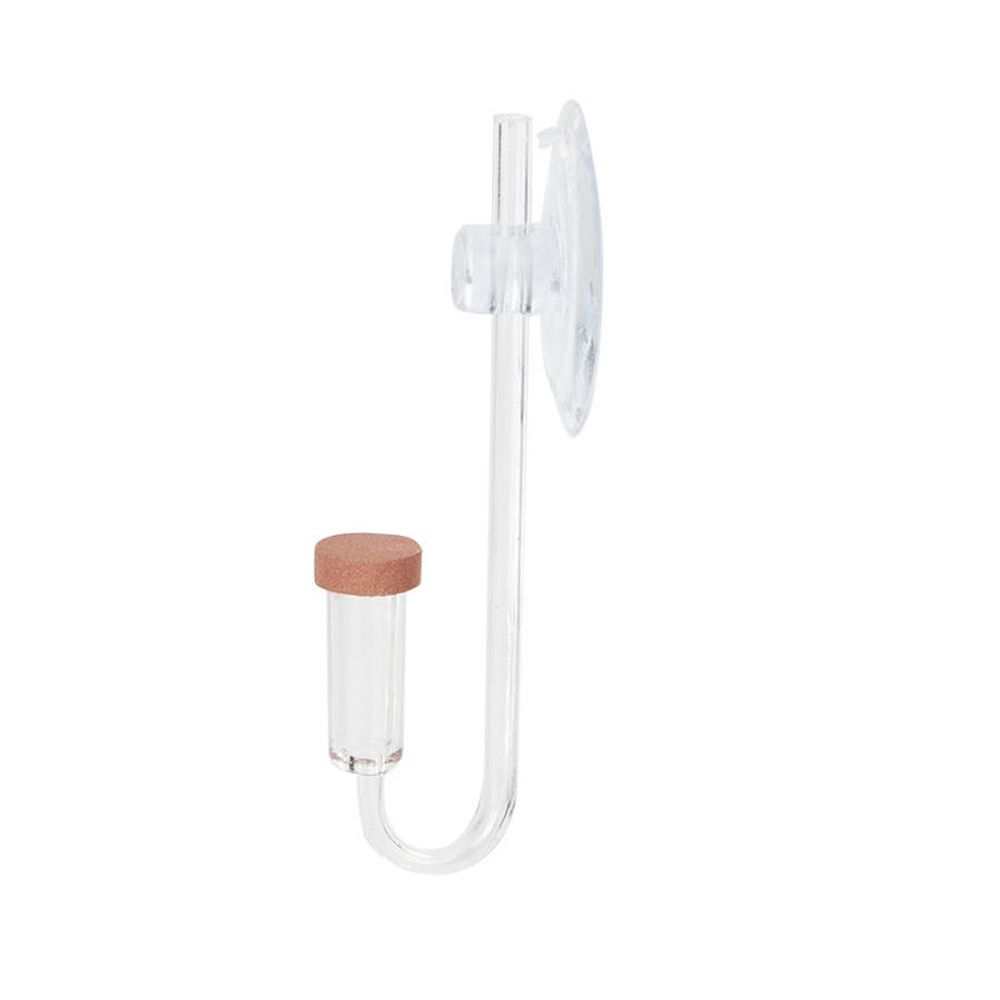 Acrylic Mini Fish Tank Live Pl - Planted Aquarium Co2 ulasan dan harga
