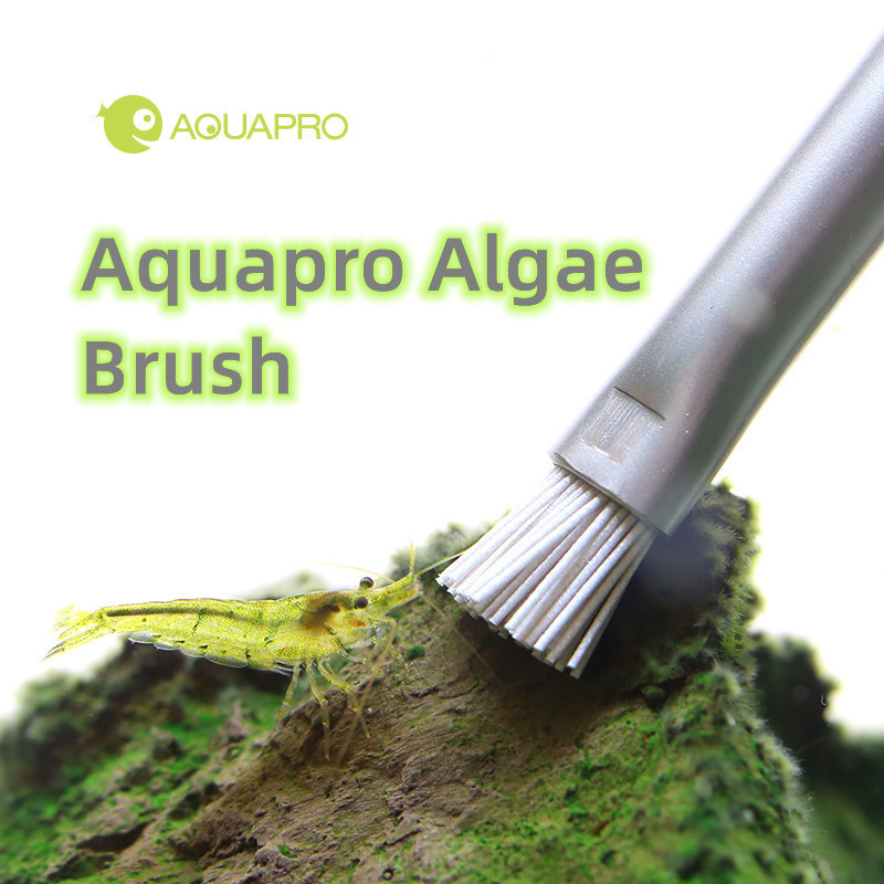 Aquapro Algae Brush Aquarium F - Planted Aquarium Ada ulasan dan harga