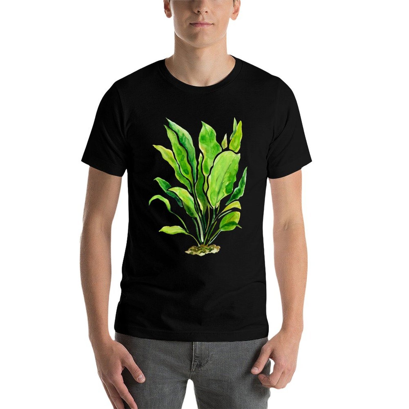 Aquarium Plants Series Amazon  - Planted Aquarium Basics ulasan dan harga