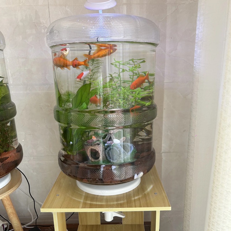 Instant Setup Home Fish Tank 3 - Aquarium Planted Setup ulasan dan harga