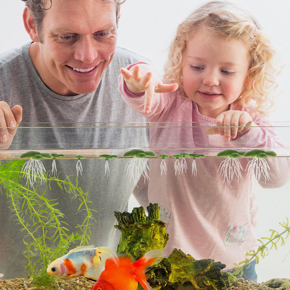 6Pack Artificial Floating Duck - Aquarium Plant Roots ulasan dan harga
